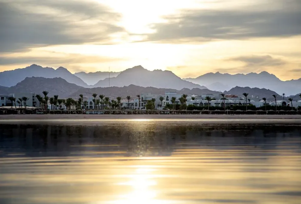Return on Investment in Oman – Which Properties Earn the Most? Market Analysis 2025 Return on Investment in Oman – Which Properties Earn the Most? Market Analysis 2025